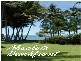 7 Marine Parade, Newell QLD 4873