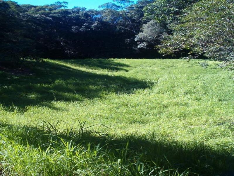 28 Carr Road, Julatten QLD 4871