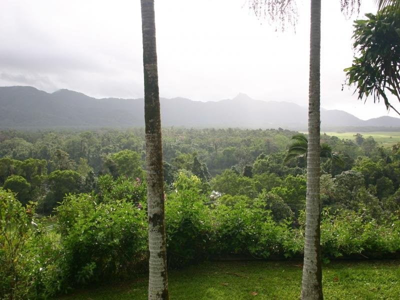 Daintree QLD 4873