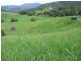 Julatten QLD 4871