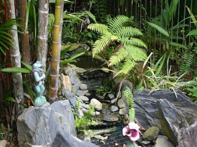 Daintree QLD 4873