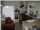 Mount Molloy QLD 4871