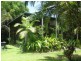 Julatten QLD 4871