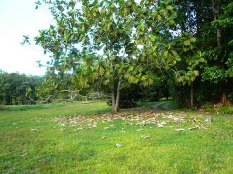 Miallo QLD 4873