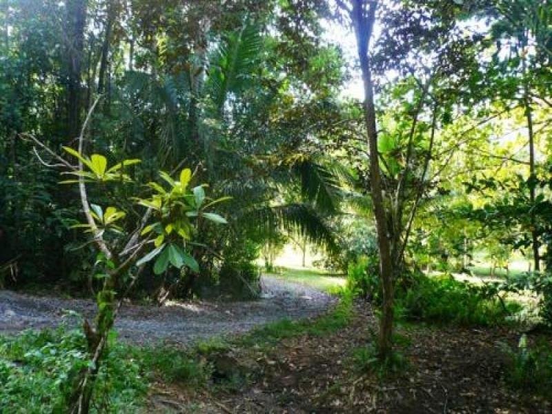 Miallo QLD 4873
