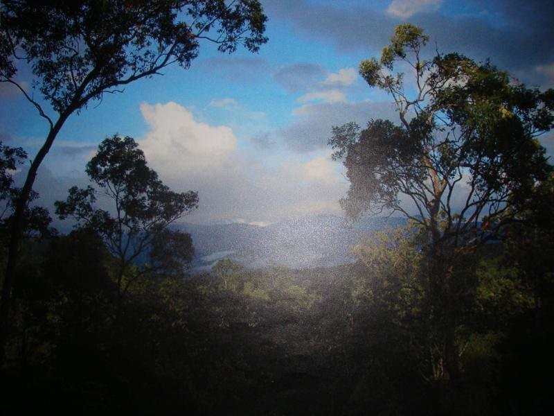 903 Euluma Crk. Rd., Julatten QLD 4871
