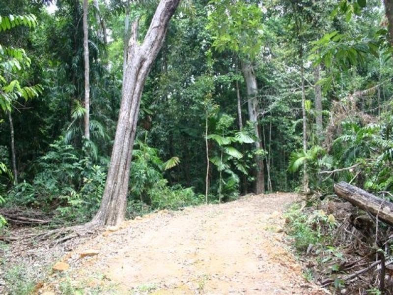 150 Wattle Close, Cow Bay QLD 4873