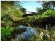 14 Escape St, Port Douglas QLD 4877