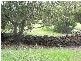 Lot 12 Old Saddleback Road, Kiama NSW 2533