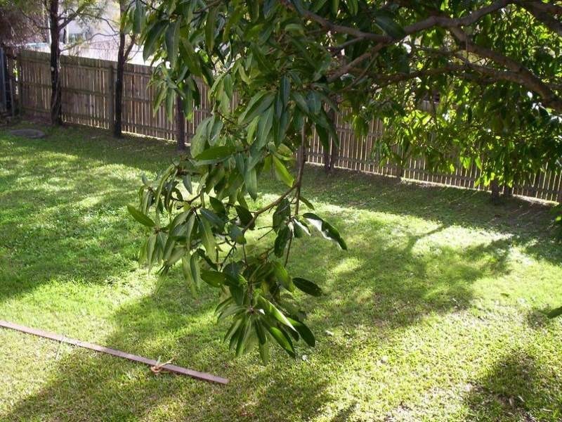 32 Maple Street, Kingston QLD 4114