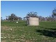 Walgett NSW 2832
