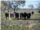 Walgett NSW 2832