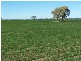 Walgett NSW 2832