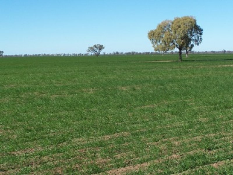 Walgett NSW 2832