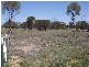 - Isisford-Blackall Rd, Blackall QLD 4472