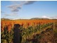 208 Markeys Lane, Yangan QLD 4371
