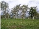 Mataranka NT 0852