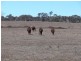 Lot/2 Orchard Rd, Elbow Valley QLD 4370