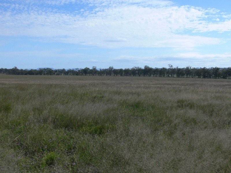 555 Derreen Road, Murrays Bridge QLD 4370