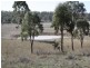Lot  6 Cunningham Highway, Warwick QLD 4370