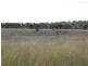 Lot  6 Cunningham Highway, Warwick QLD 4370