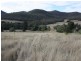 Lot 132 Coopers Gully Road, Yangan QLD 4371