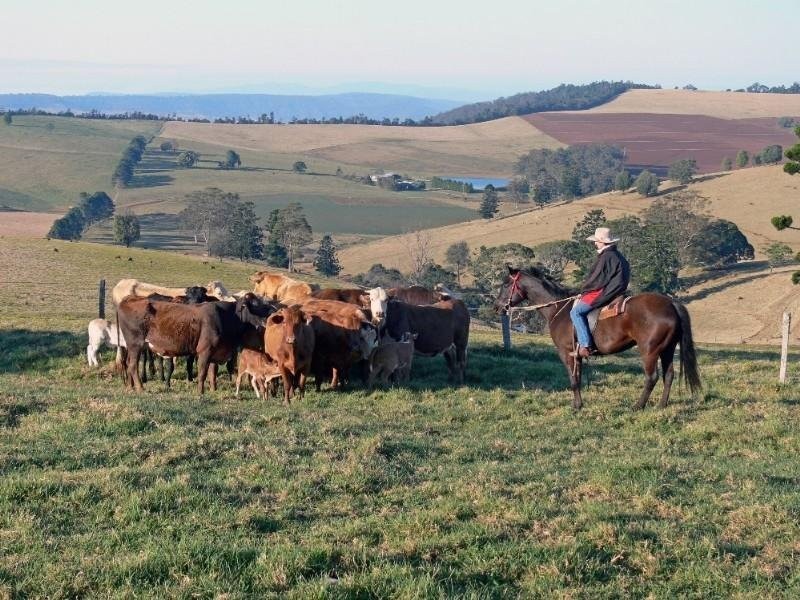 889 Acacia Plateau Road, Killarney QLD 4373