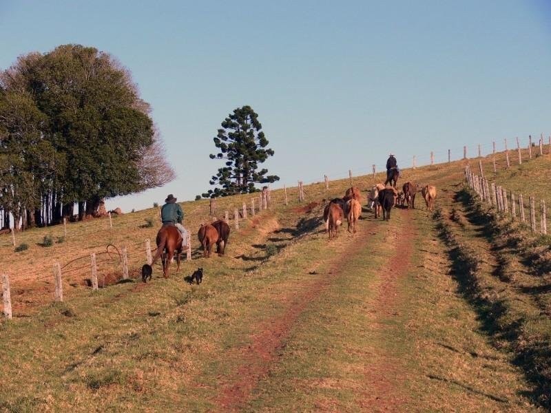 889 Acacia Plateau Road, Killarney QLD 4373