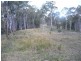 3413 Paddys Flat Road, Paddys Flat NSW 2469