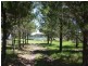 93 Old Coach Road, Warwick QLD 4370