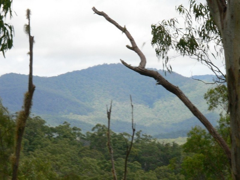 Lot 143 Condamine River Road, Killarney QLD 4373
