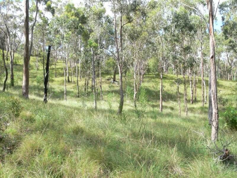 Lot 143 Condamine River Road, Killarney QLD 4373