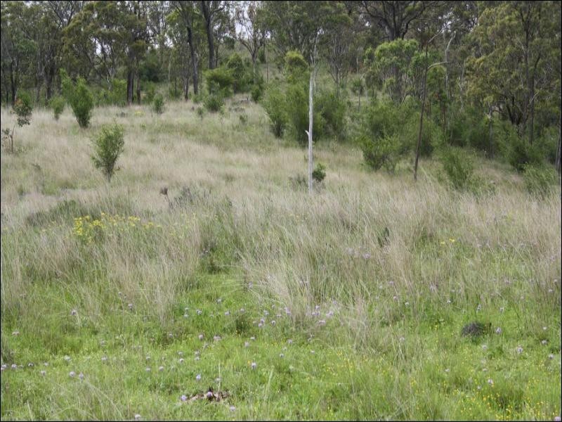0 Kings Road, Warwick QLD 4370