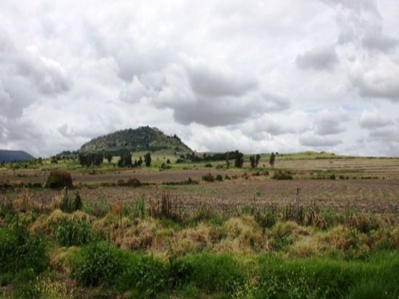 192 Top Swanfels Road, Yangan QLD 4371