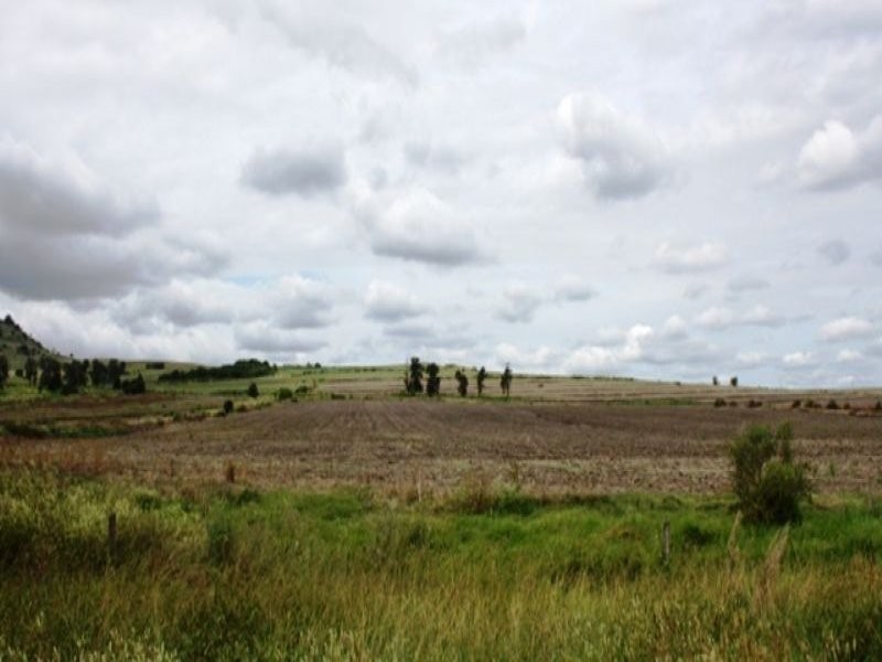 192 Top Swanfels Road, Yangan QLD 4371