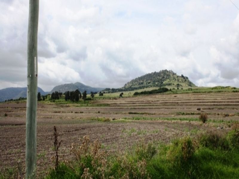 192 Top Swanfels Road, Yangan QLD 4371