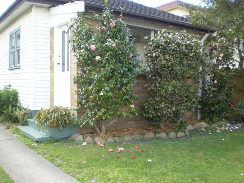 78 Abbott Road, North Curl Curl NSW 2099