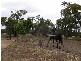Lot 4 Twelvtrees Road, Wauraltee SA 5573
