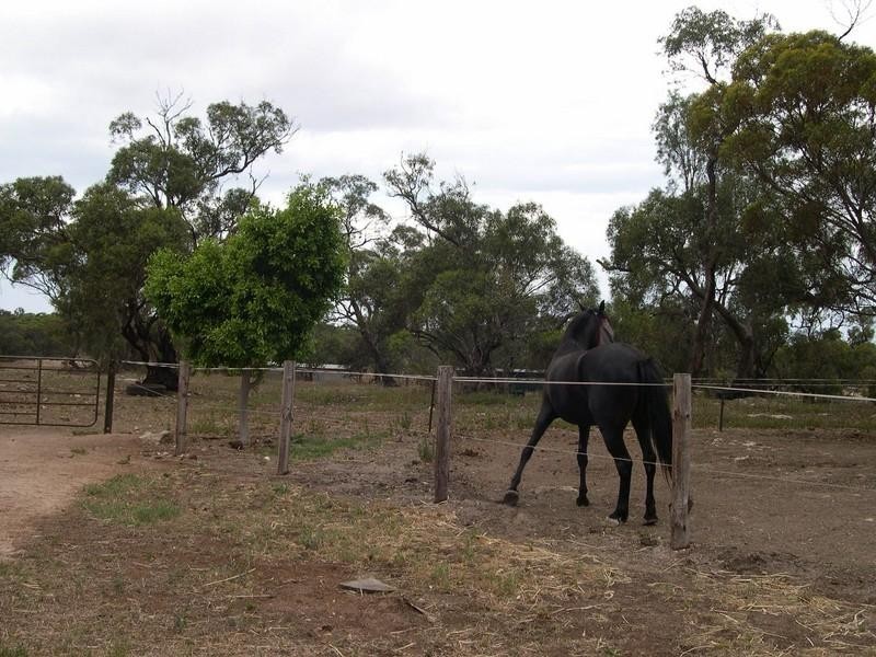 Lot 4 Twelvtrees Road, Wauraltee SA 5573