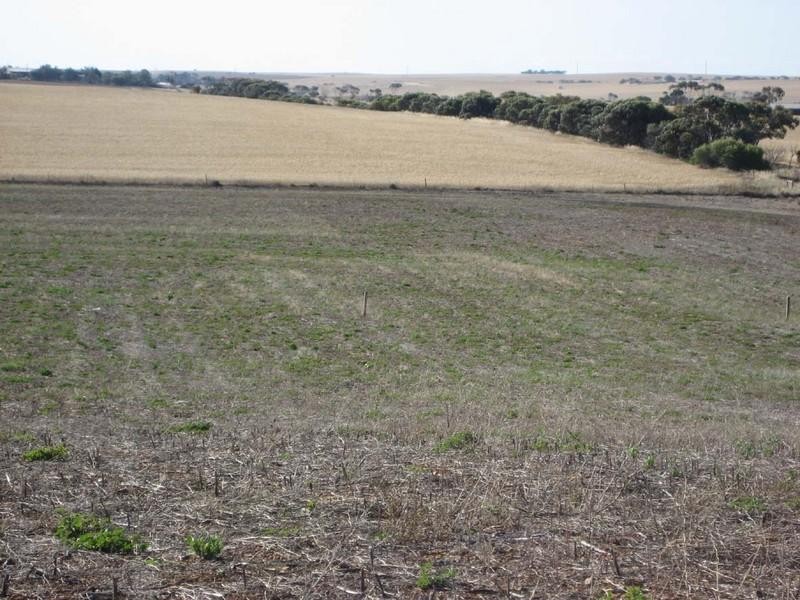 Lot 1 Pepper Road, Ardrossan SA 5571