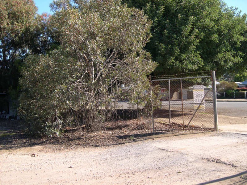 20 Samuel Street, Maitland SA 5573