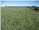 Lot 23 One and All Road, Price SA 5570