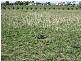 Lot 23 One and All Road, Price SA 5570
