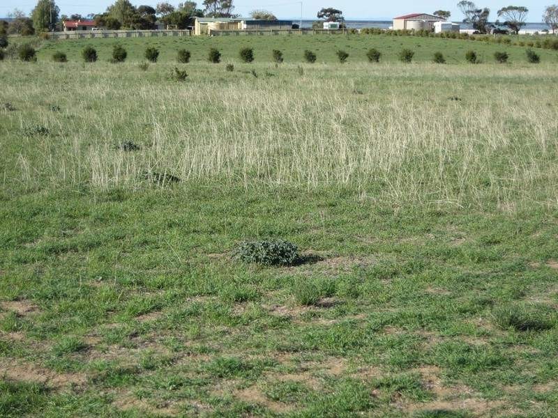 Lot 23 One and All Road, Price SA 5570