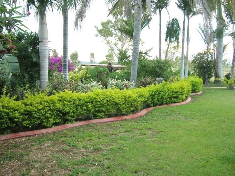 41 Tyrell Road, Alton Downs QLD 4702