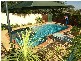 15 Carlon Crescent, Farmborough Heights NSW 2526
