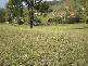 Amberley QLD 4306