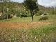 Amberley QLD 4306