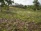 Amberley QLD 4306