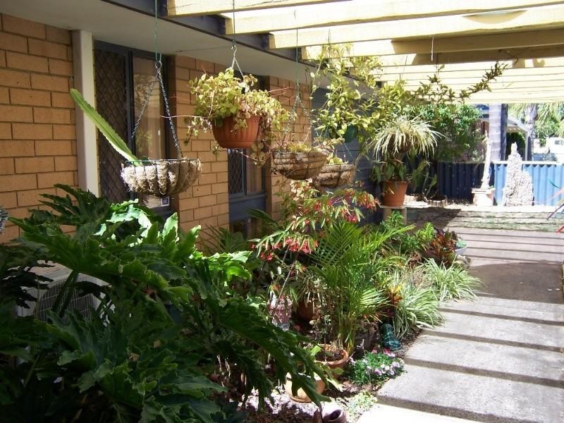 5 Nuytsia, Pinjarra WA 6208